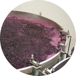 Must Fermentation