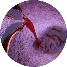 Must Separation and Production