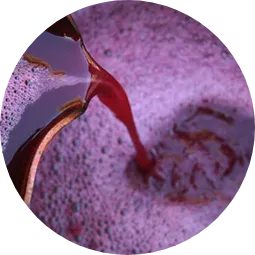 Separarea și obținerea musturilor