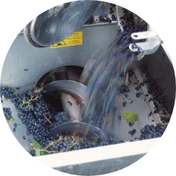 Zdrobirea și desciorchinarea